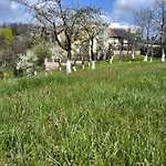 Pensiunea Toscana