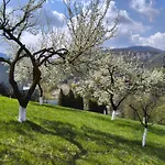 Pensiunea Toscana 4* Brasov