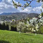 Guest house Pensiunea Toscana
