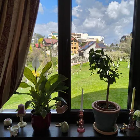 Pensiunea Toscana 4*