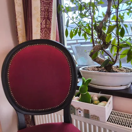Guest house Pensiunea Toscana Brasov