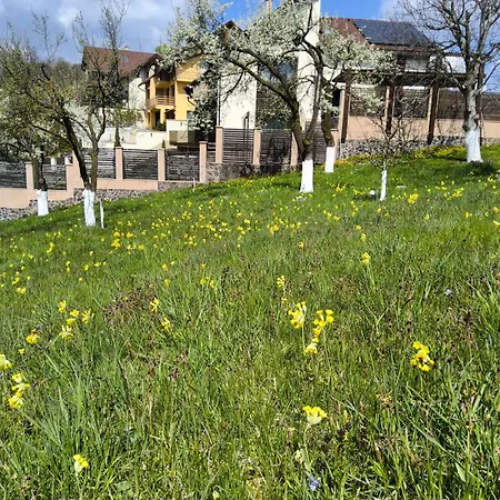 Pensiunea Toscana 4* Braşov