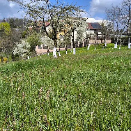 Pensiunea Toscana