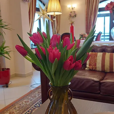 Pensiunea Toscana Guest house 4*