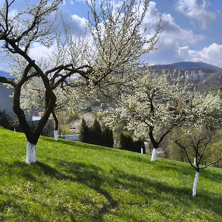 Pensiunea Toscana 4* Braşov