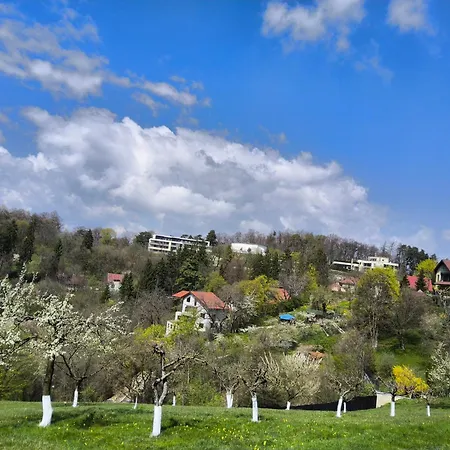 Pensiunea Toscana Maison d'hôtes 4*