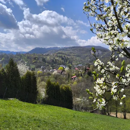 Pensiunea Toscana 4* Braşov