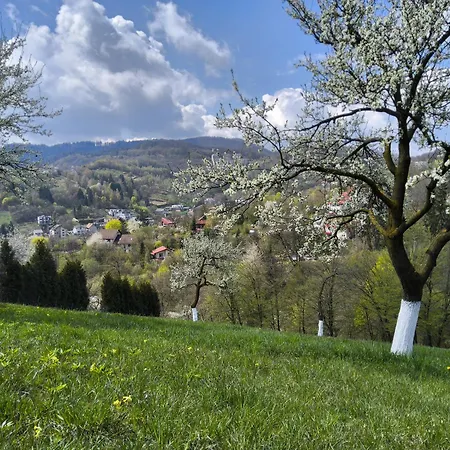 Pensiunea Toscana Braşov