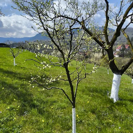 Pensiunea Toscana Brasov