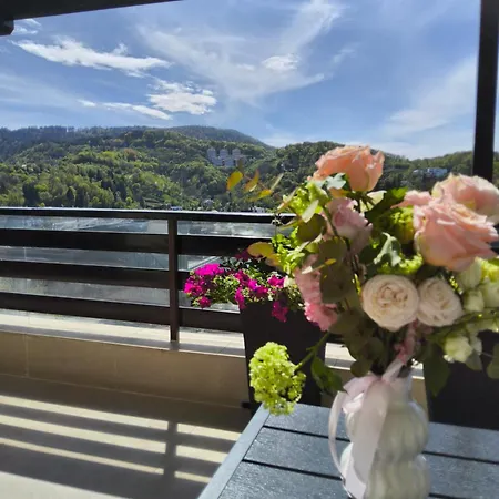 Pensiunea Toscana Guest house