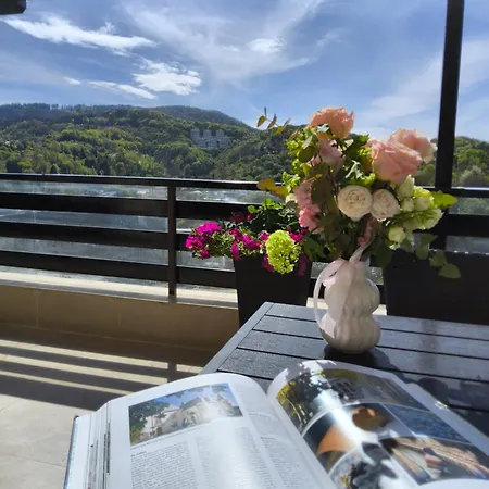 Pensiunea Toscana Guest house Brasov