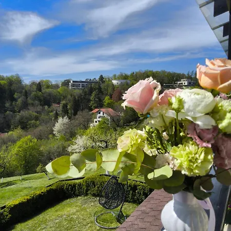 Pensiunea Toscana Guest house