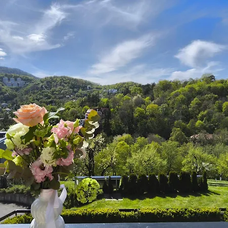Pensiunea Toscana Maison d'hôtes 4*