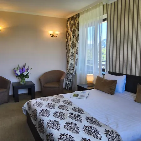Pensiunea Toscana Guest house 4*