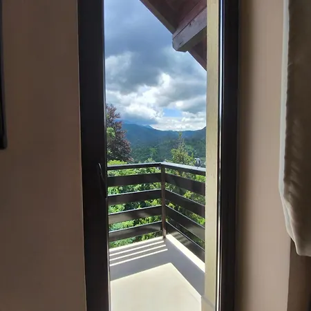 Pensiunea Toscana Maison d'hôtes 4*