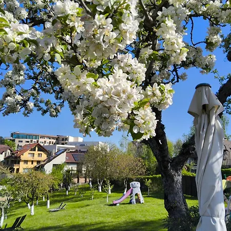 Pensiunea Toscana 4* Braşov
