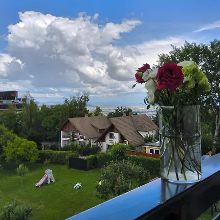 Guest house Pensiunea Toscana Brasov