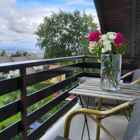 Pensiunea Toscana 4*