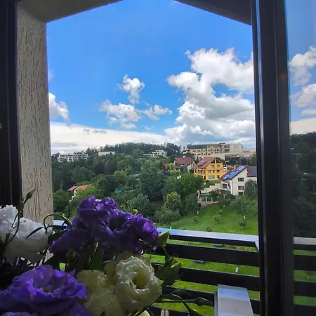 Pensiunea Toscana Guest house Brasov