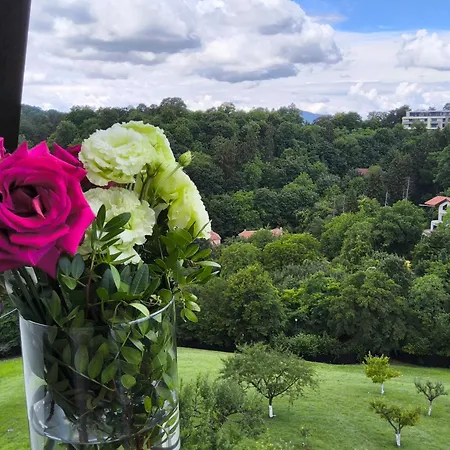 Pensiunea Toscana Guest house