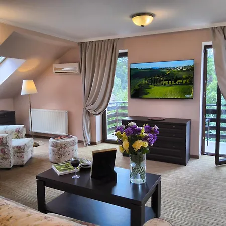 Guest house Pensiunea Toscana