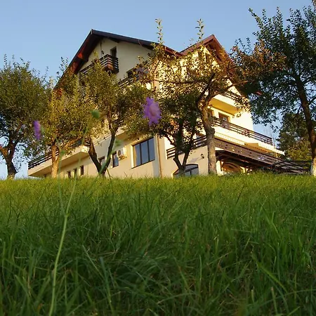 Pensiunea Toscana 게스트하우스 4*