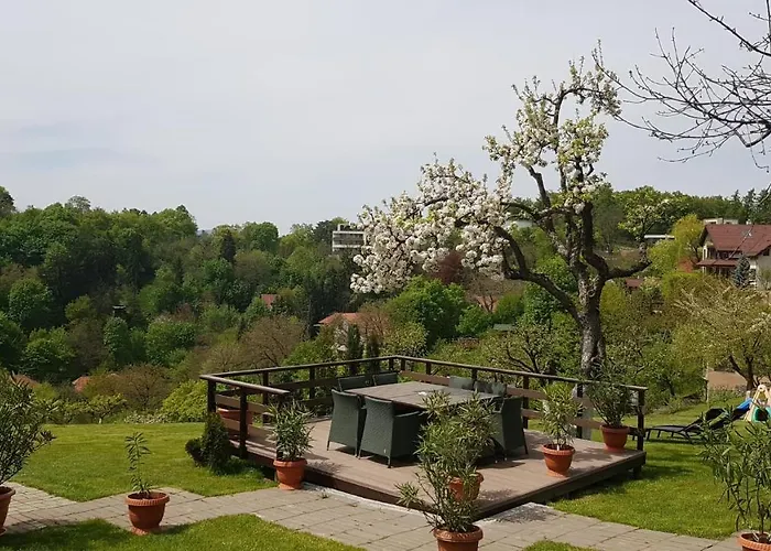 Pensiunea Toscana Guest house Brasov