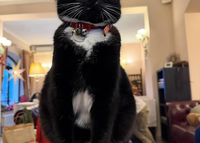 Pensiunea Toscana 4*